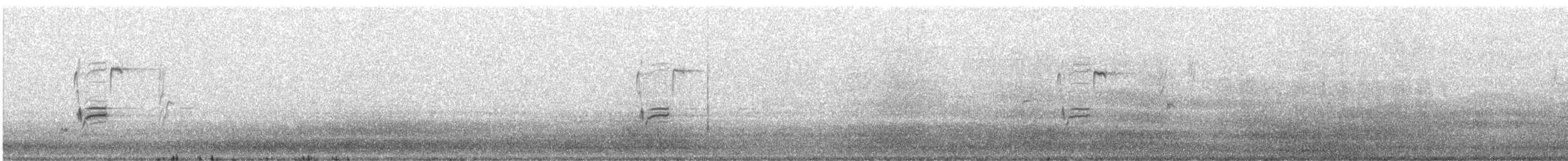 Iberian Gray Shrike - ML405576321