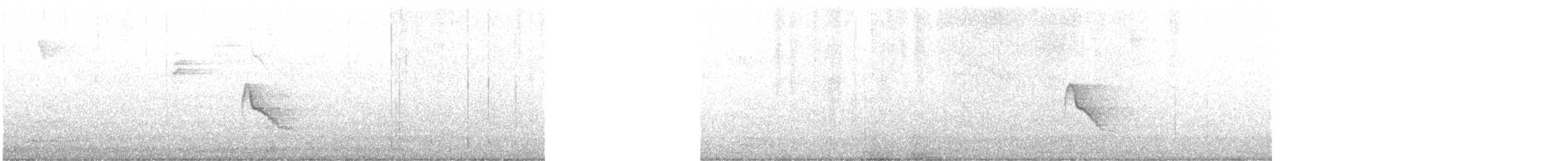 Élénie siffleuse (groupe martinica) - ML405587501