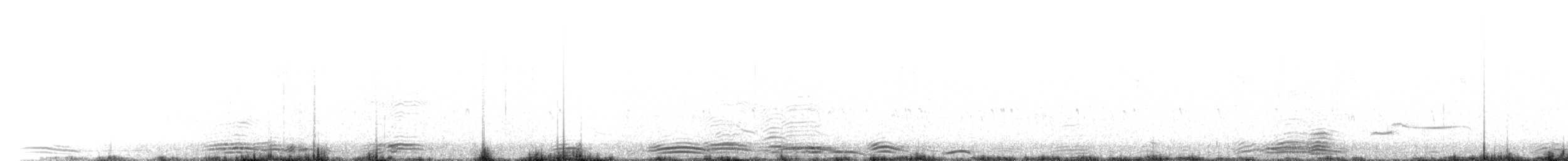 Goéland ichthyaète - ML405596001