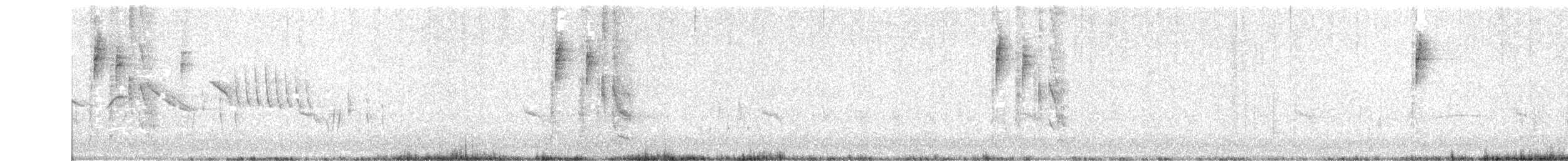 Пестрокрылая трясохвостка - ML405613841