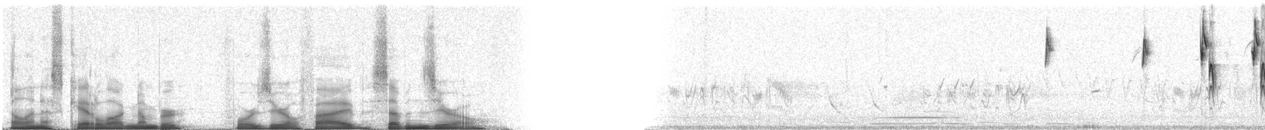 Botteri's Sparrow (Botteri's) - ML40570