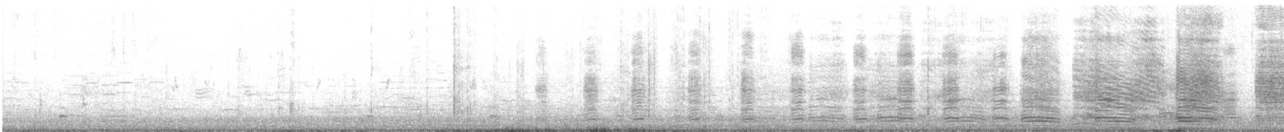 Egyptian Goose - ML405731091