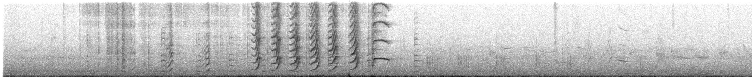 Great-tailed Grackle - ML405731741