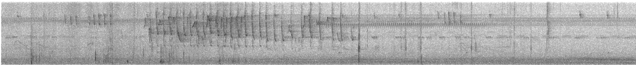 Zimtschwanzammer - ML405741611