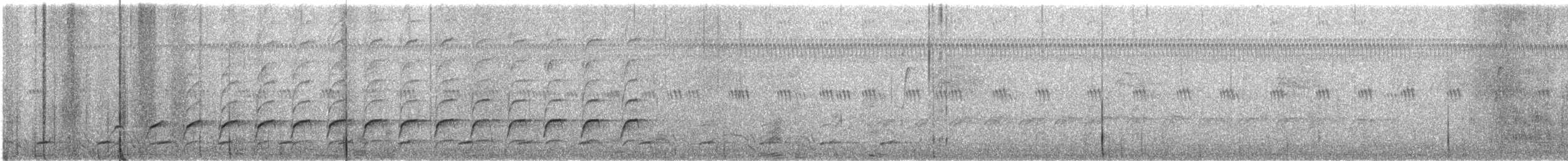 Lineated Woodpecker (Lineated) - ML405749091