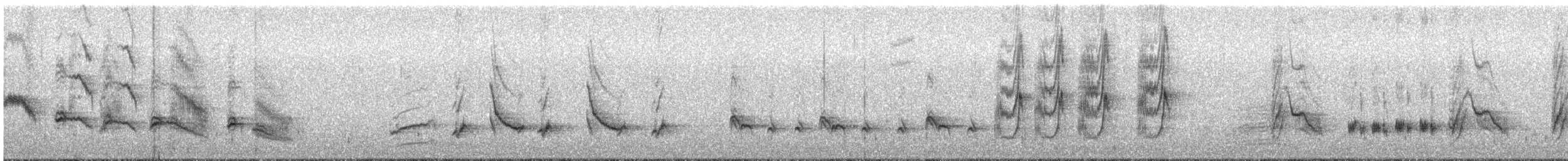 Crissal Thrasher - ML405798441