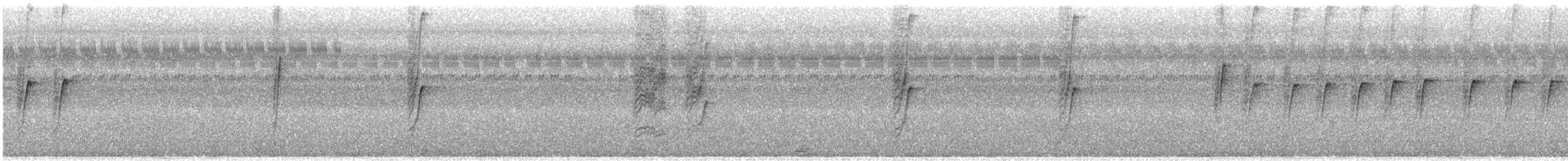 Черногорлая нектарница - ML405884241