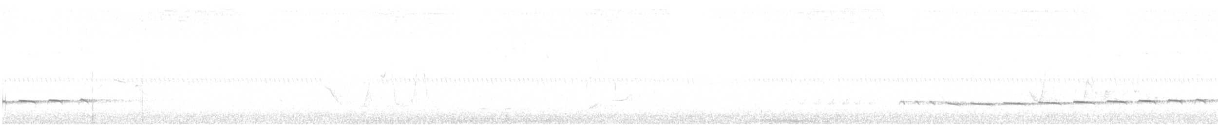 Зозуля бліда - ML40588841