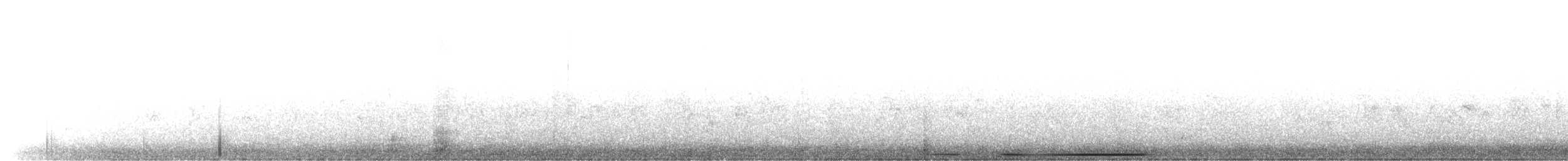 holub bledočelý - ML405933061