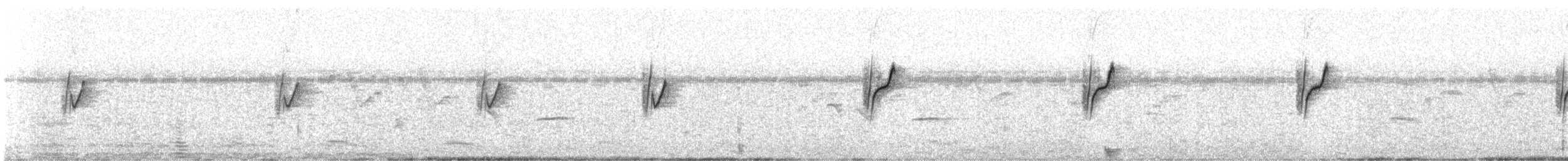 Purpurnektarvogel - ML405981201