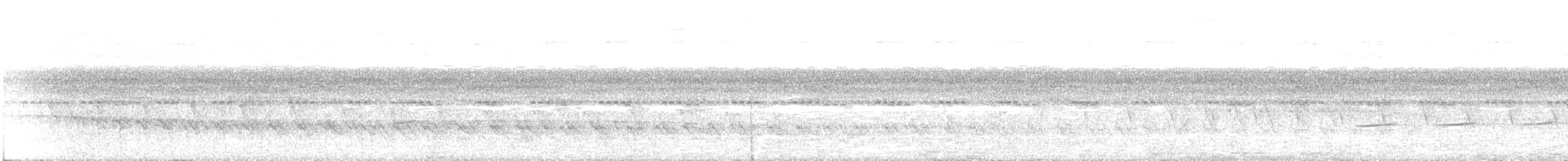 Striped Cuckoo - ML405992521