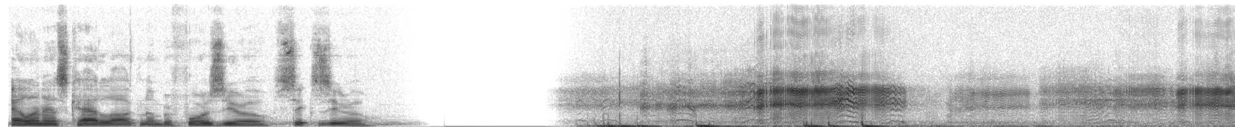 Gang-gang Cockatoo - ML4060