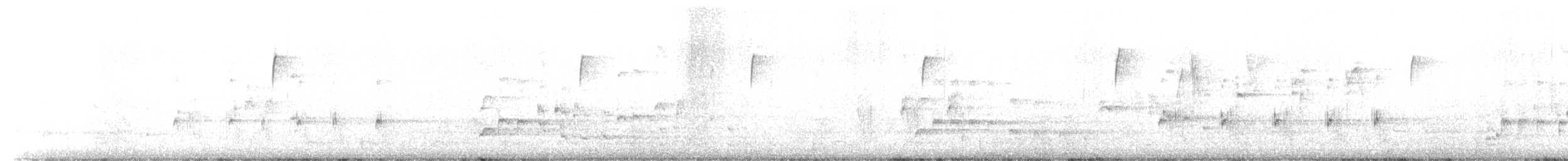 orel bělohlavý - ML406026311