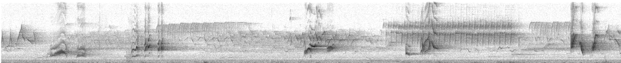 Brown Thrasher - ML406032191