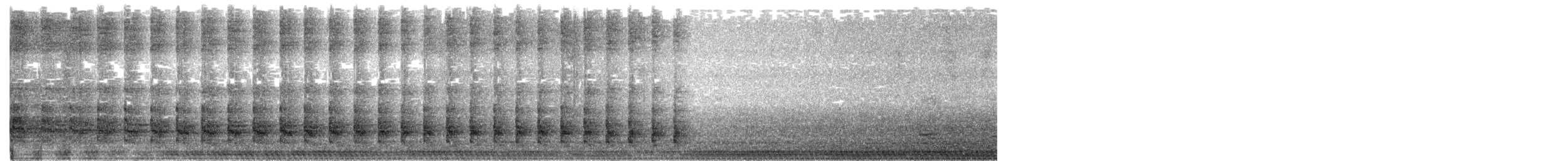Clapper Rail (Atlantic Coast) - ML406048581