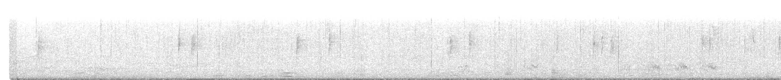 Weißbrustkleiber - ML406063821
