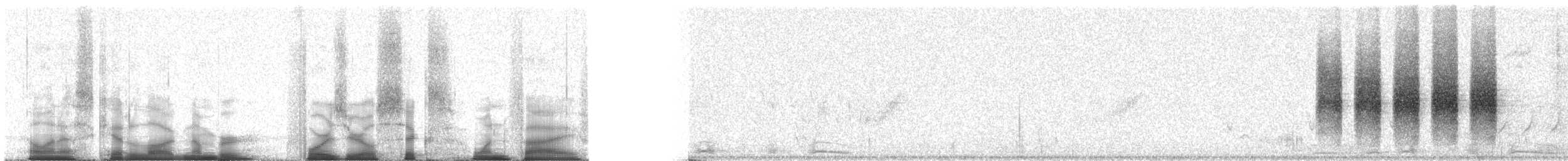 Black-tailed Gnatcatcher - ML40615