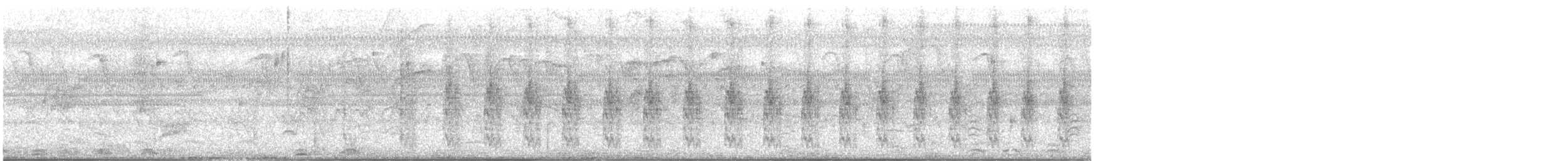 dverggjøk - ML406226451