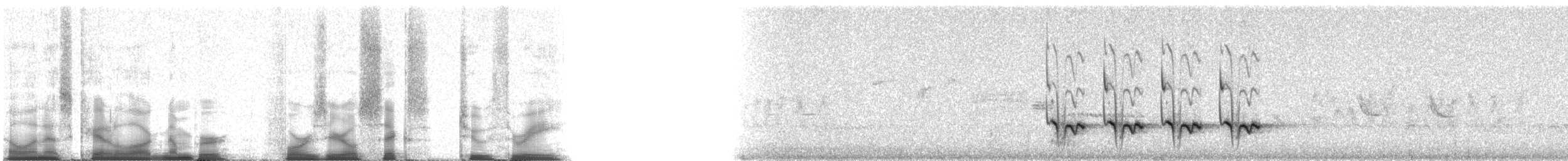 Black-crested Titmouse - ML40623