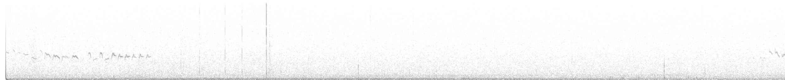 Білолобик чорносмугий - ML406267311
