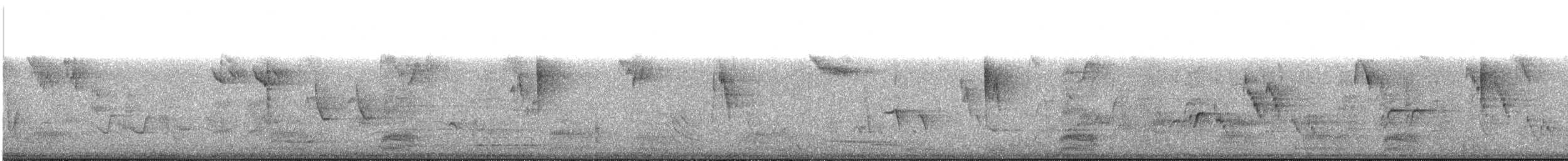 Тимелія-куцохвіст велика (підвид albiventer/pallidior) - ML406306191