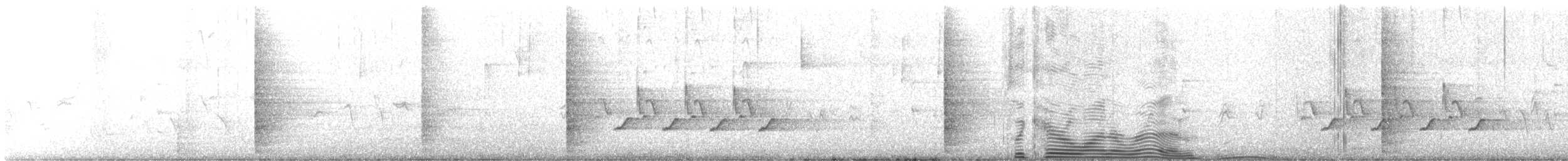 střízlík karolínský - ML406513591