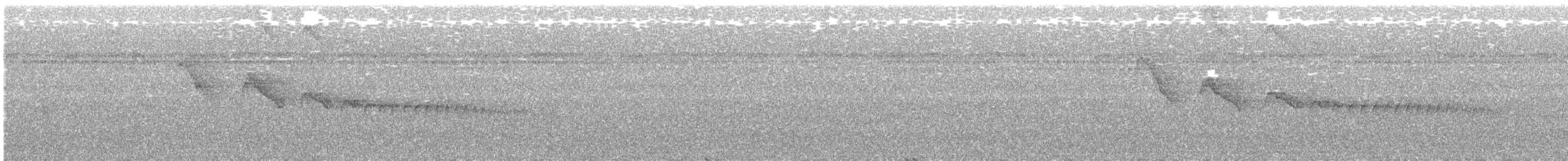 Светлогорлый тенелюб - ML406533911