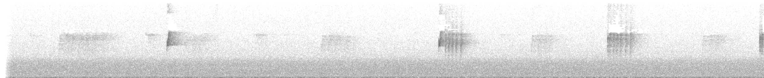 Gray-bellied Tesia - ML406785541