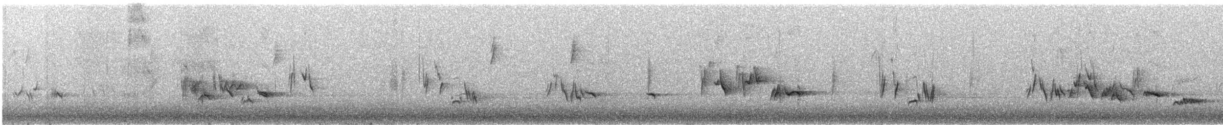 Townsend's Solitaire - ML406787611