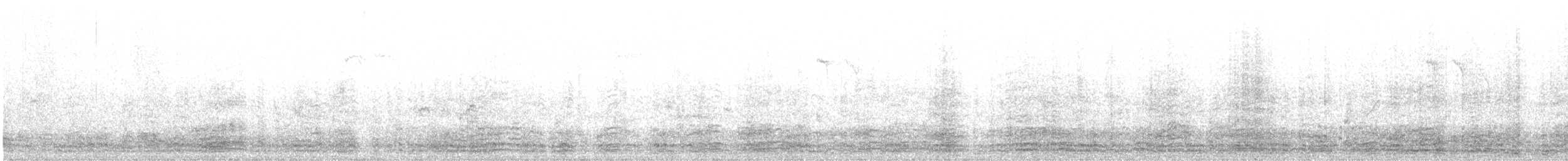 berneška tmavá (ssp. bernicla) - ML406819461