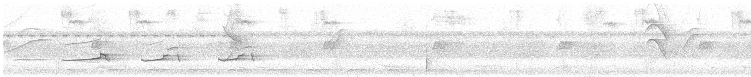 Сероголовая агуйла - ML406906011