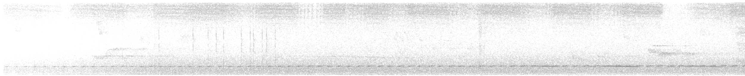 Bindenbrust-Ameisendrossel - ML406915741