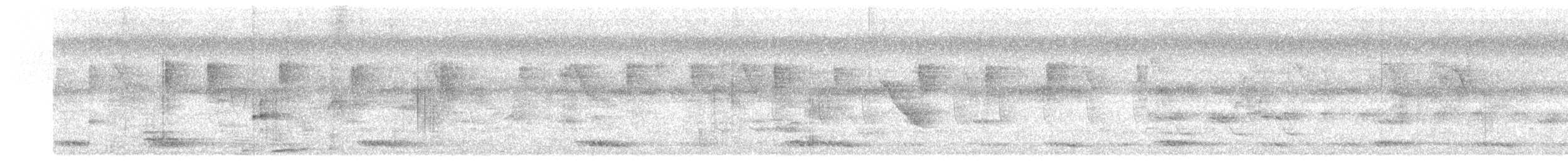 pigeon/dove sp. - ML406919061