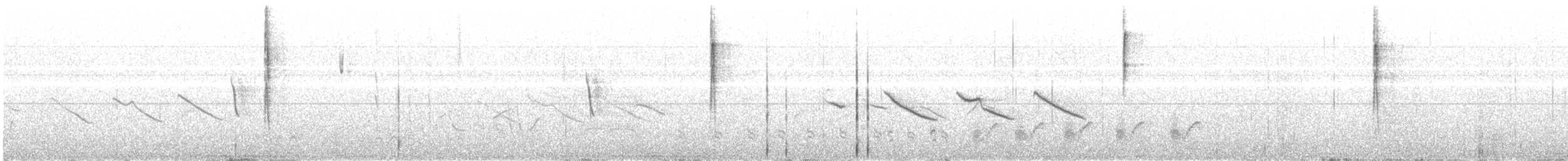 Свертушка чорновола - ML407006601