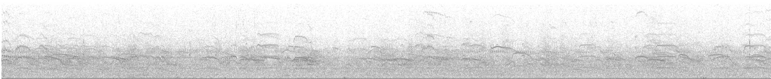 Common Tern - ML407048281