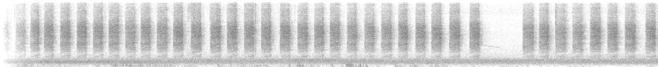 střízlík karolínský - ML407056491