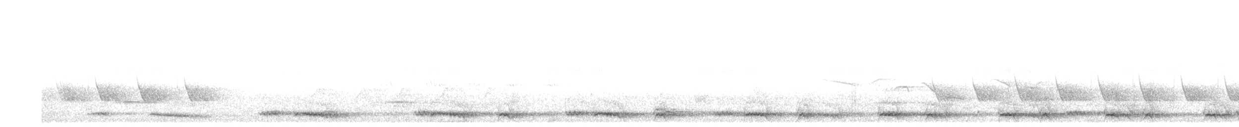 Jungle Owlet - ML407145601