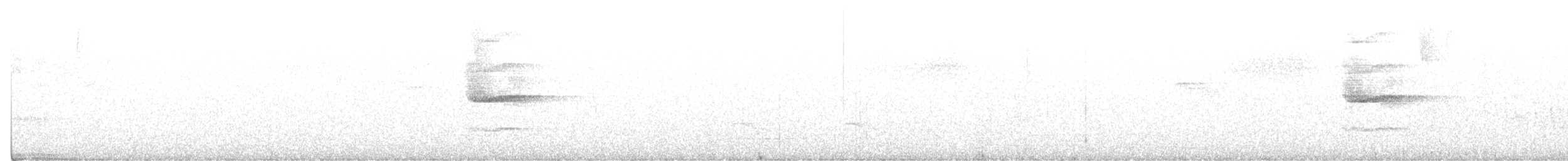Grallaire ceinturée - ML407167441