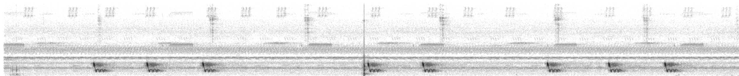 Large-tailed Nightjar - ML407172861