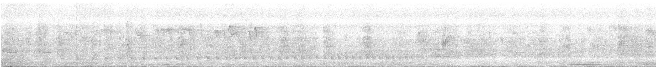 Striped Cuckoo - ML407345701