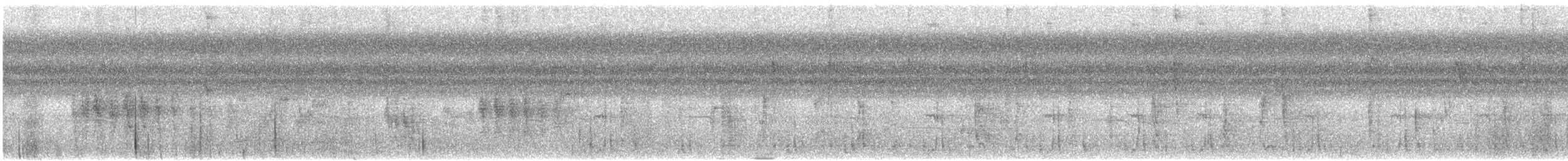 Колібрі-шаблекрил юкатанський (підвид excellens) - ML407478941