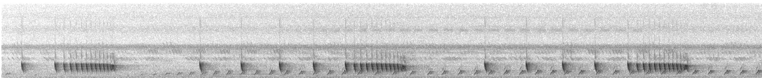 Indiennachtschwalbe - ML407487431