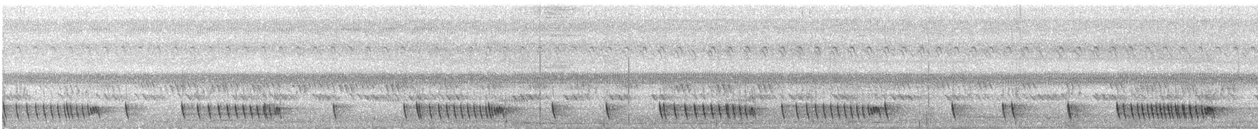 Indiennachtschwalbe - ML407487451