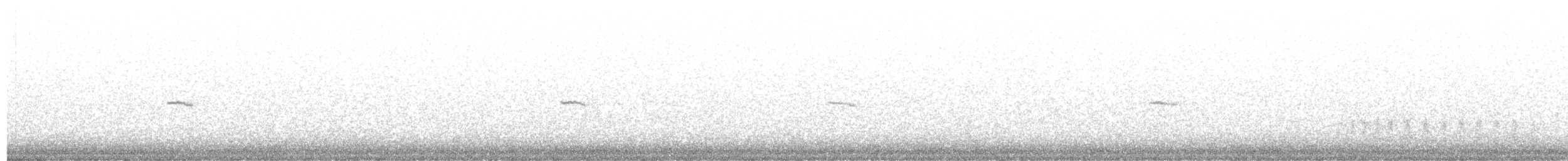 Common Chiffchaff (Siberian) - ML407541271
