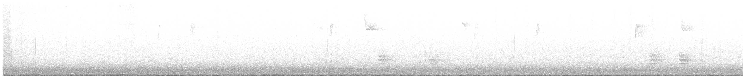 Weißbrustkleiber - ML407618551