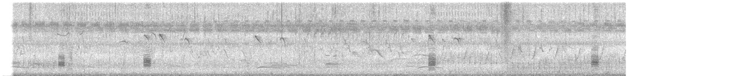 rákosník hlučnohlasý - ML407752191