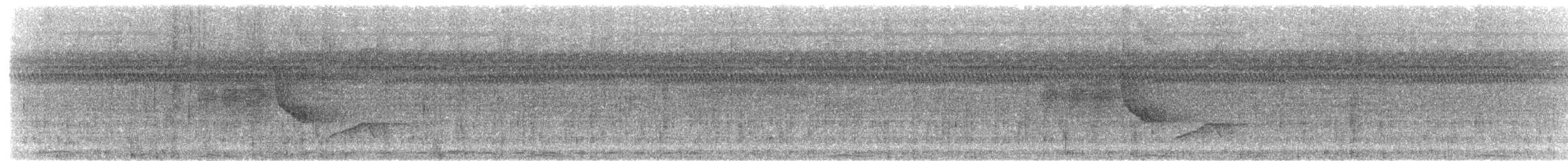 Short-tailed Drongo - ML407779041