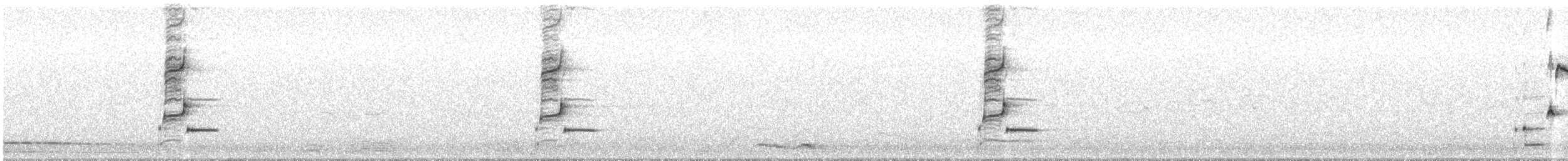 Iberian Gray Shrike - ML407840541