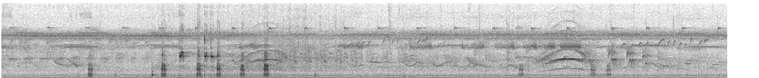 Orinoco Goose - ML407856871