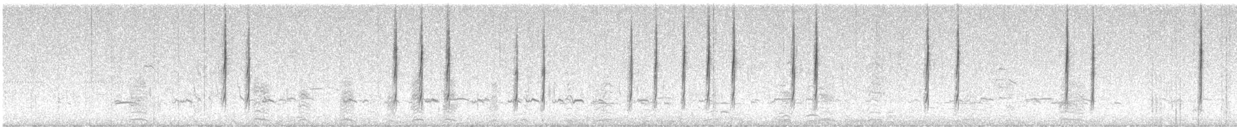 Cisticole des joncs - ML407888431